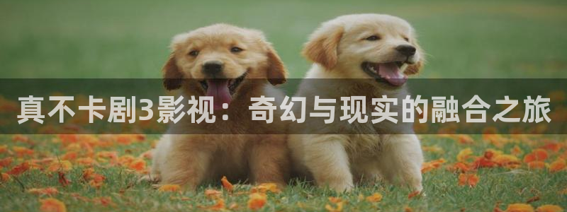 电影 红杏